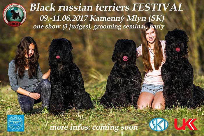 Orosz fekete terrier fesztivál